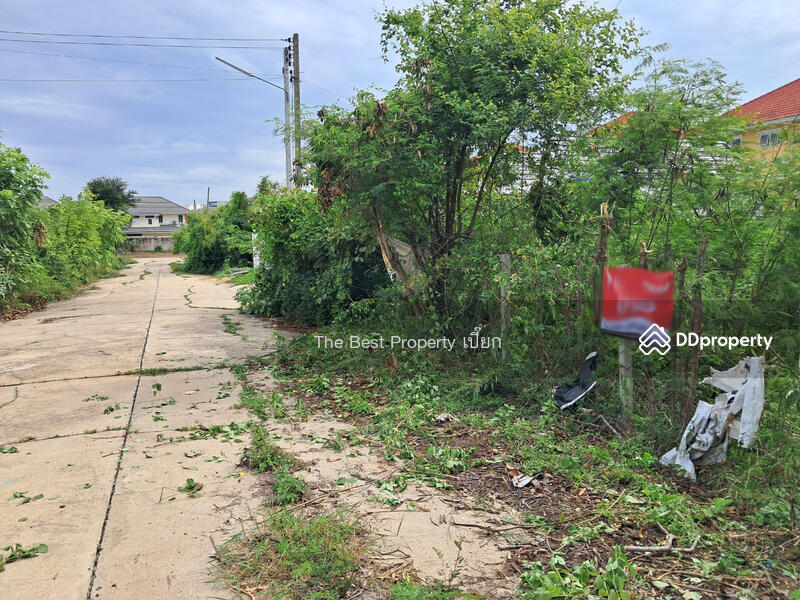 For Sale - ที่ดินสนามจันทร์ นครปฐม, Nakhon Pathom