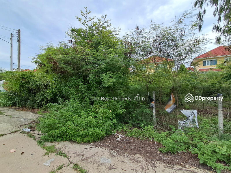 For Sale - ที่ดินสนามจันทร์ นครปฐม, Nakhon Pathom
