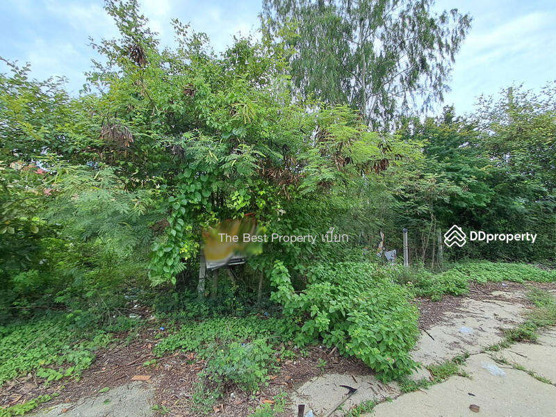 For Sale - ที่ดินสนามจันทร์ นครปฐม, Nakhon Pathom
