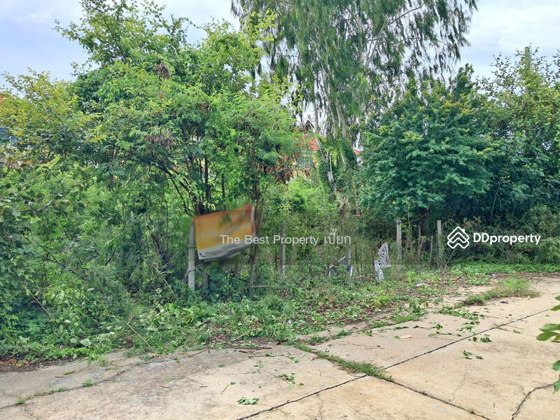 For Sale - ที่ดินสนามจันทร์ นครปฐม, Nakhon Pathom