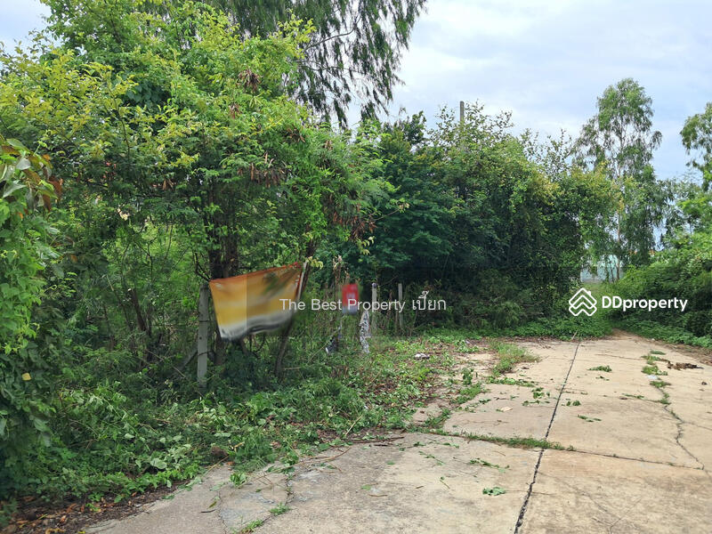 For Sale - ที่ดินสนามจันทร์ นครปฐม, Nakhon Pathom