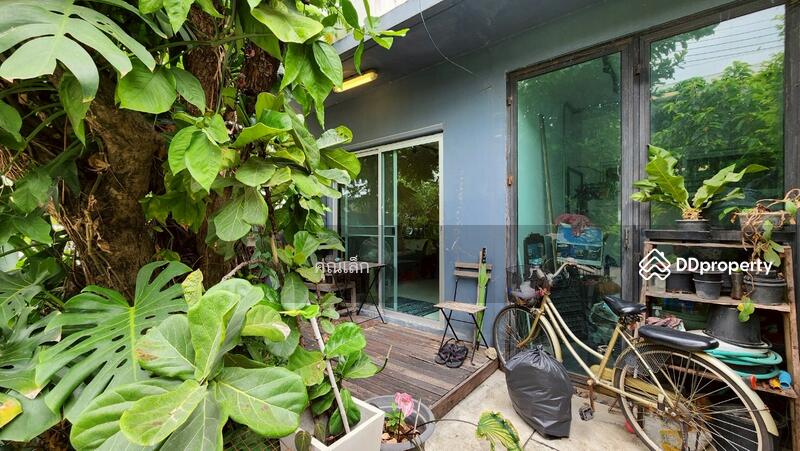 ขาย - The Plant Citi Ladprao 71 : เดอะ แพลนท์ ซิตี้ ลาดพร้าว 71, กรุงเทพ