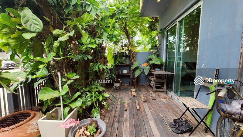 ขาย - The Plant Citi Ladprao 71 : เดอะ แพลนท์ ซิตี้ ลาดพร้าว 71, กรุงเทพ