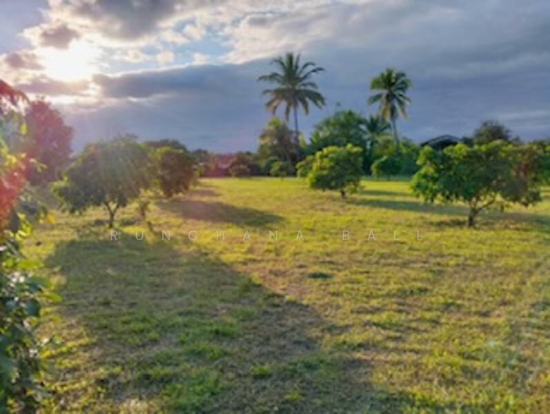 For Sale - Beautiful Land in Chiang Mai, Mountains View, Near Golf Club, Chiang Mai