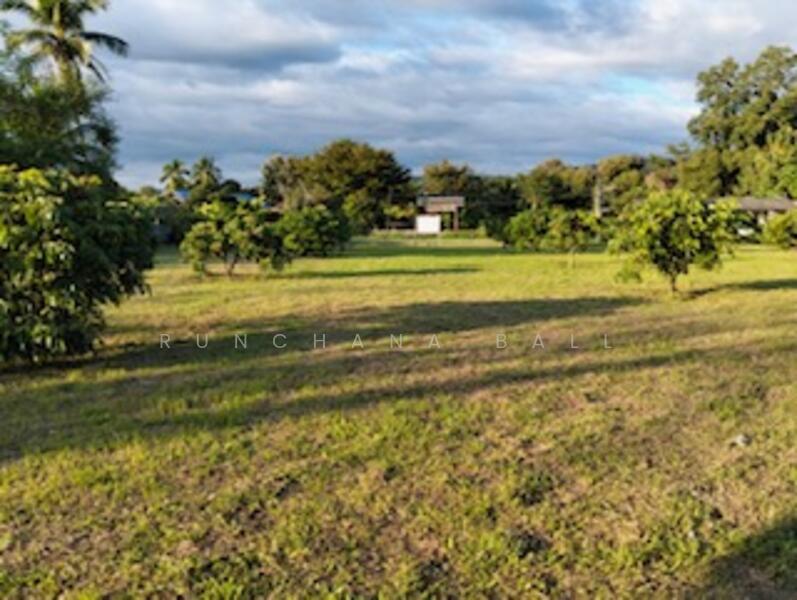 For Sale - Beautiful Land in Chiang Mai, Mountains View, Near Golf Club, Chiang Mai