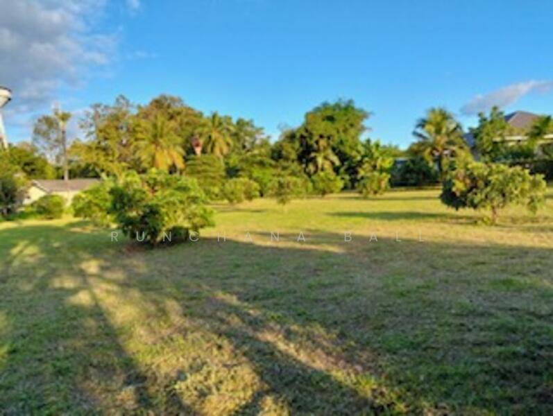 For Sale - Beautiful Land in Chiang Mai, Mountains View, Near Golf Club, Chiang Mai