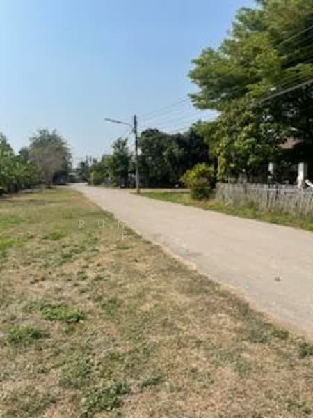 Beautiful Land in Chiang Mai, Mountains View, Near Golf Club, Chiang Mai, Mae On Tai, San Kamphaeng, Chiang Mai, , 3,240 sqm, Land For Sale, by Runchana Ball, 60009330 - DDproperty.com