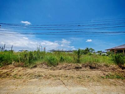 ขาย - ที่ดินพานทอง ชลบุรี, ชลบุรี