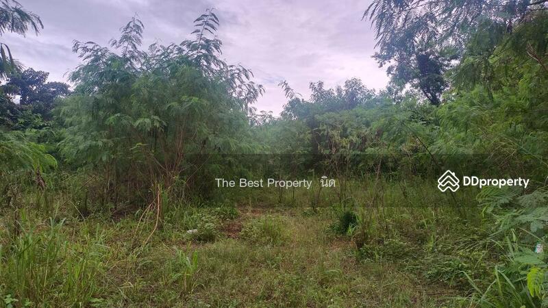 For Sale - ที่ดินบางละมุง ชลบุรี, Chon Buri