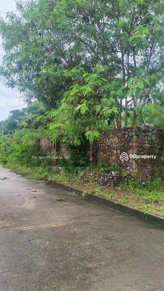 For Sale - ที่ดินบางละมุง ชลบุรี, Chon Buri