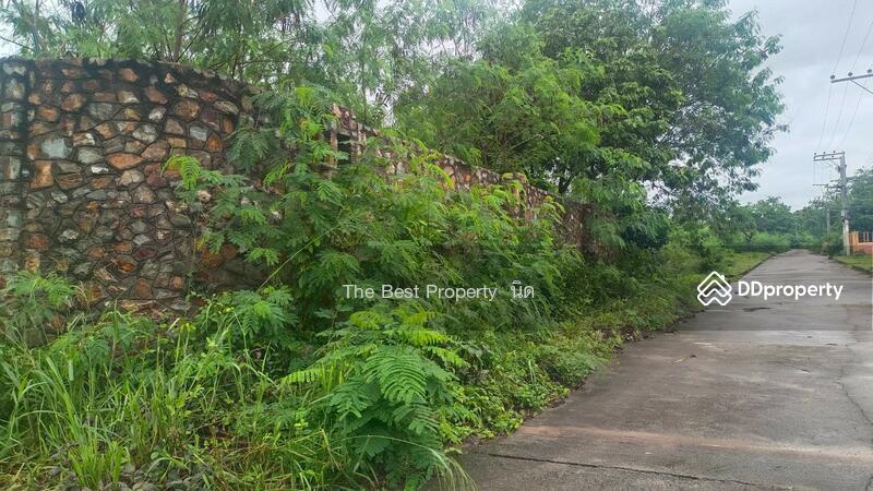 For Sale - ที่ดินบางละมุง ชลบุรี, Chon Buri