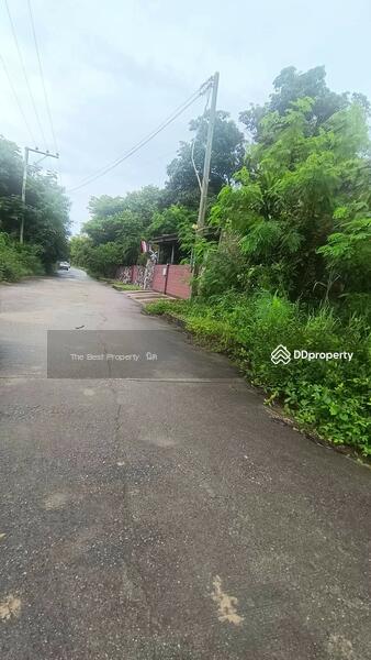 For Sale - ที่ดินบางละมุง ชลบุรี, Chon Buri