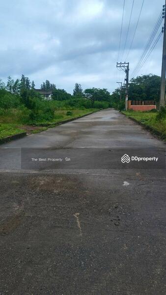 For Sale - ที่ดินบางละมุง ชลบุรี, Chon Buri