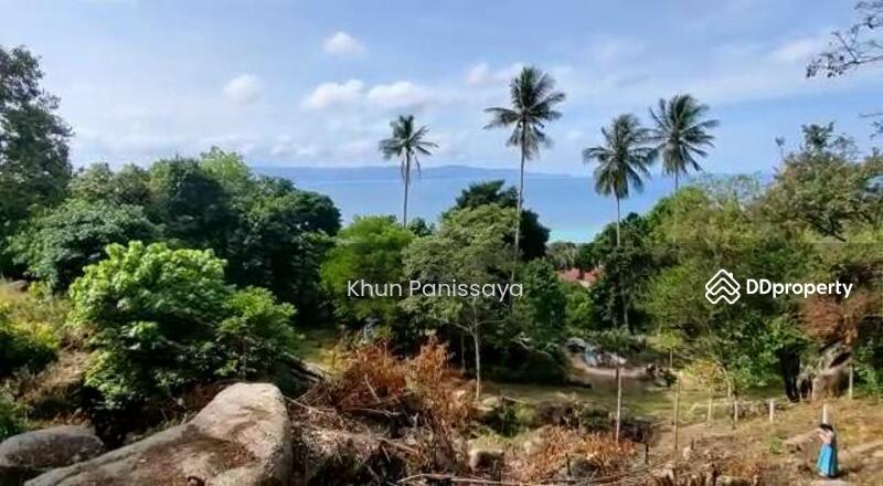 For Sale - Absolutely Unique! Perfect Sea View Land for Sale in Ban Tai, Koh Phangan – Stunning 180° Panorama, Surat Thani