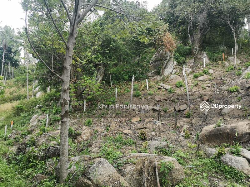 For Sale - Absolutely Unique! Perfect Sea View Land for Sale in Ban Tai, Koh Phangan – Stunning 180° Panorama, Surat Thani