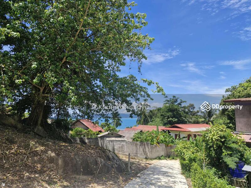 For Sale - Absolutely Unique! Perfect Sea View Land for Sale in Ban Tai, Koh Phangan – Stunning 180° Panorama, Surat Thani