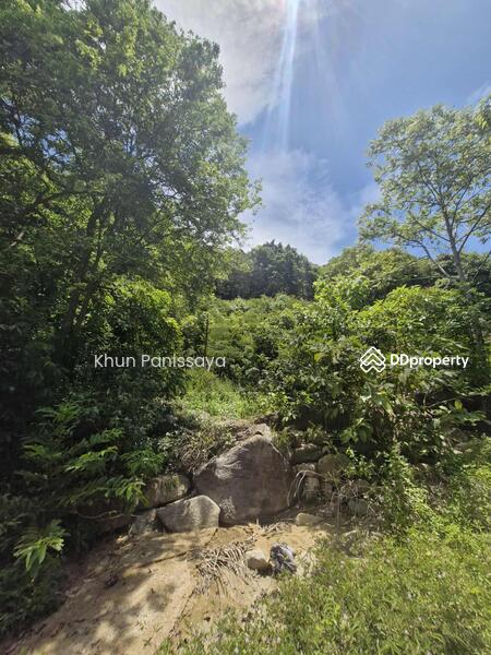 For Sale - Absolutely Unique! Perfect Sea View Land for Sale in Ban Tai, Koh Phangan – Stunning 180° Panorama, Surat Thani