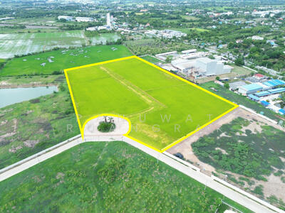 ขาย - ไร่บัวแก้ว บ้านปทุม สามโคก, ปทุมธานี