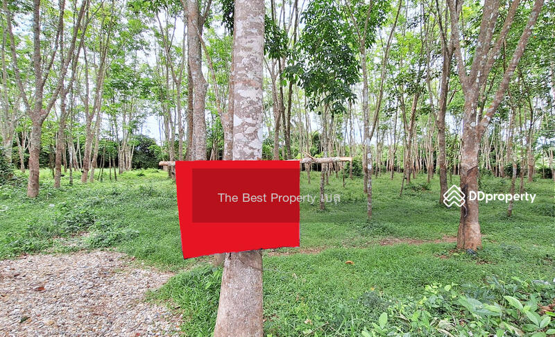 For Sale - ที่ดินท่าศาลา นครศรีธรรมราช, Nakhon Si Thammarat