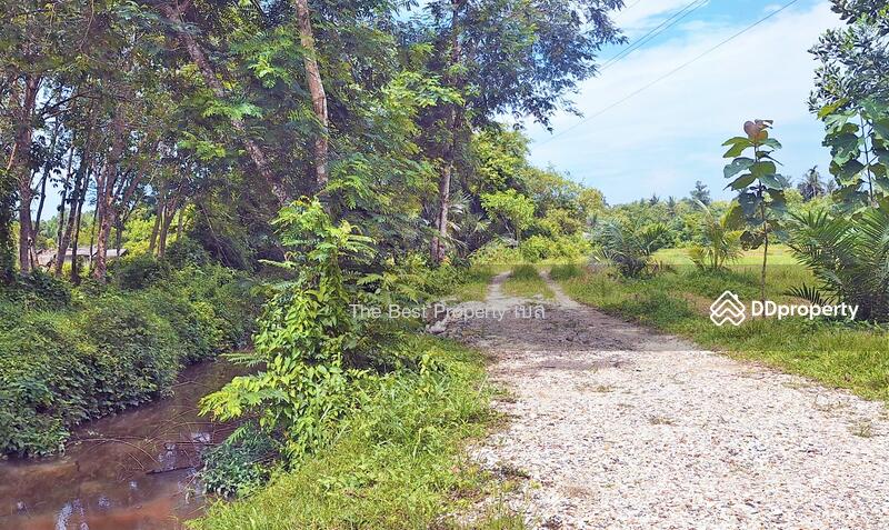 For Sale - ที่ดินท่าศาลา นครศรีธรรมราช, Nakhon Si Thammarat