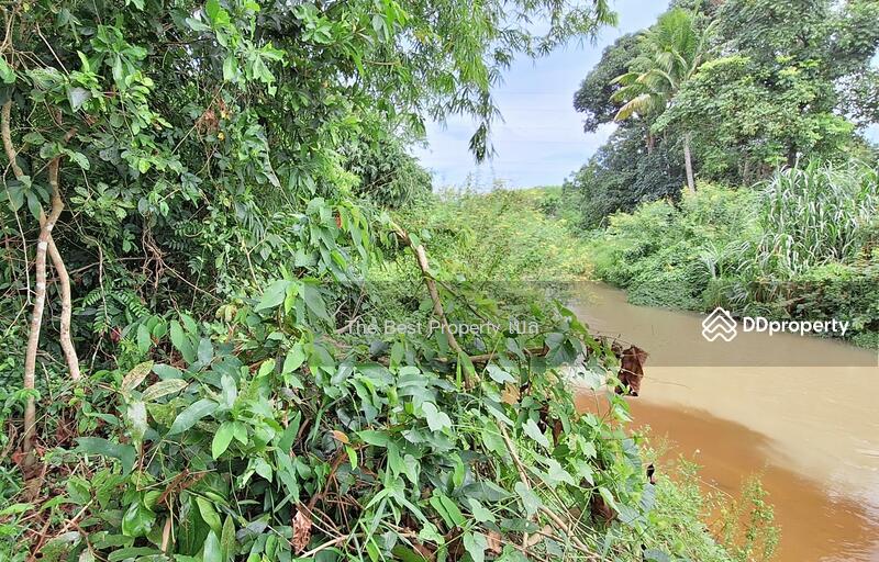 For Sale - ที่ดินท่าศาลา นครศรีธรรมราช, Nakhon Si Thammarat