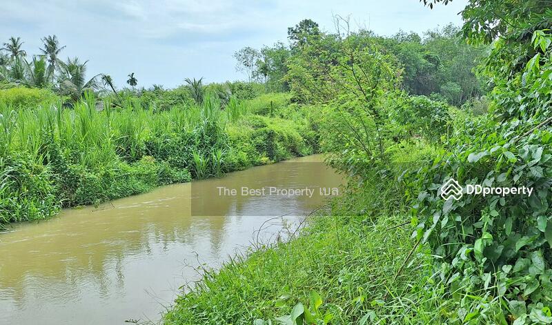For Sale - ที่ดินท่าศาลา นครศรีธรรมราช, Nakhon Si Thammarat