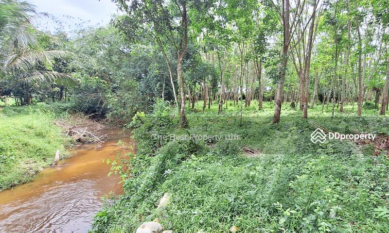 For Sale - ที่ดินท่าศาลา นครศรีธรรมราช, Nakhon Si Thammarat