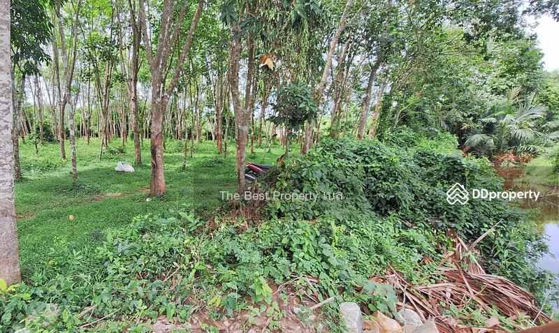 For Sale - ที่ดินท่าศาลา นครศรีธรรมราช, Nakhon Si Thammarat