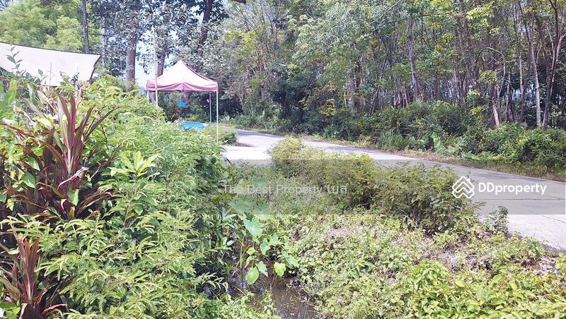 For Sale - ที่ดินท่าศาลา นครศรีธรรมราช, Nakhon Si Thammarat