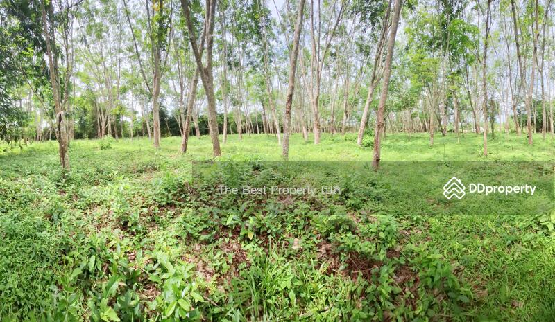 For Sale - ที่ดินท่าศาลา นครศรีธรรมราช, Nakhon Si Thammarat