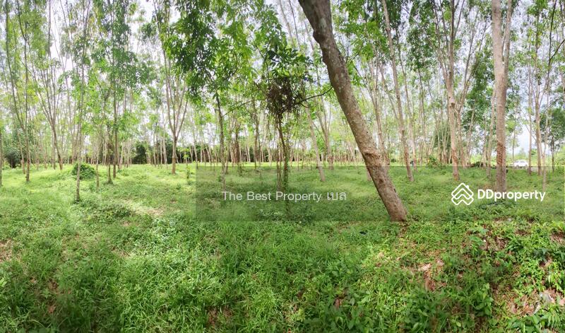For Sale - ที่ดินท่าศาลา นครศรีธรรมราช, Nakhon Si Thammarat
