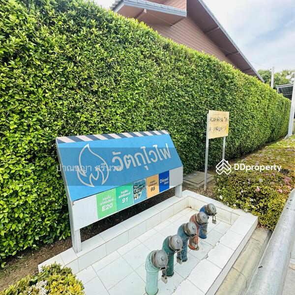ขาย - ขายยกกิจการปั้มน้ำมัน ปตท. อำเภอปราณบุรี จังหวัดประจวบคีรีขันธ์, ประจวบคีรีขันธ์