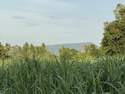 ขาย - ที่ดินโคราช อ.สีคิ้ว ทำการเกษตร บ้านพัก รีสอร์ท ลายกางเต๊นท์ 17 ไร่ มีเอกสารสิทธิ์ โอนที่เทศบาล, นครราชสีมา