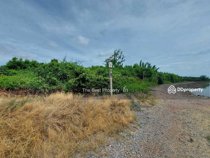 For Sale - ที่ดินแหลมใหญ่ สมุทรสงคราม, Samut Songkhram