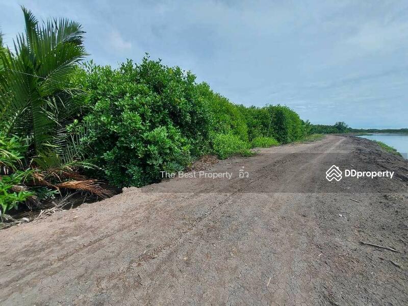 For Sale - ที่ดินแหลมใหญ่ สมุทรสงคราม, Samut Songkhram