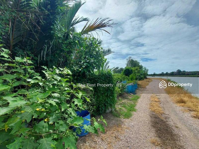 For Sale - ที่ดินแหลมใหญ่ สมุทรสงคราม, Samut Songkhram