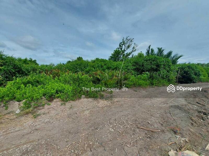 For Sale - ที่ดินแหลมใหญ่ สมุทรสงคราม, Samut Songkhram