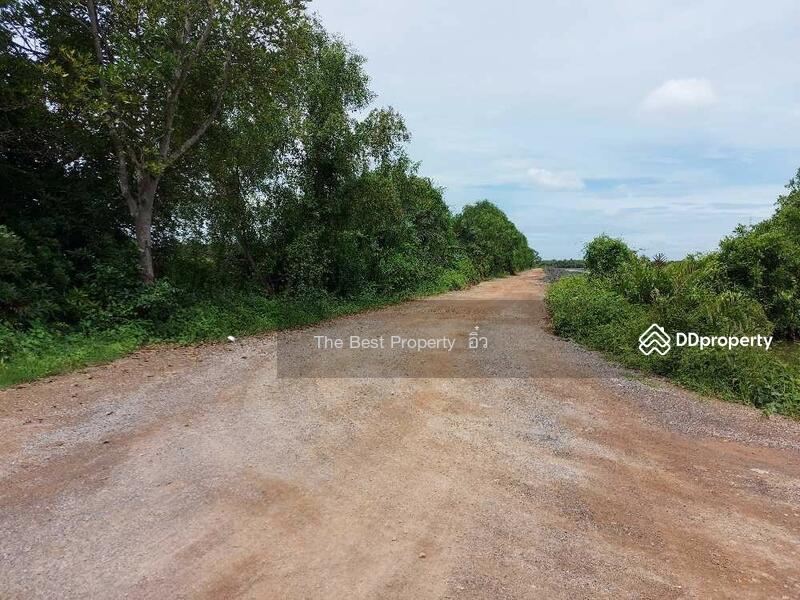 For Sale - ที่ดินแหลมใหญ่ สมุทรสงคราม, Samut Songkhram