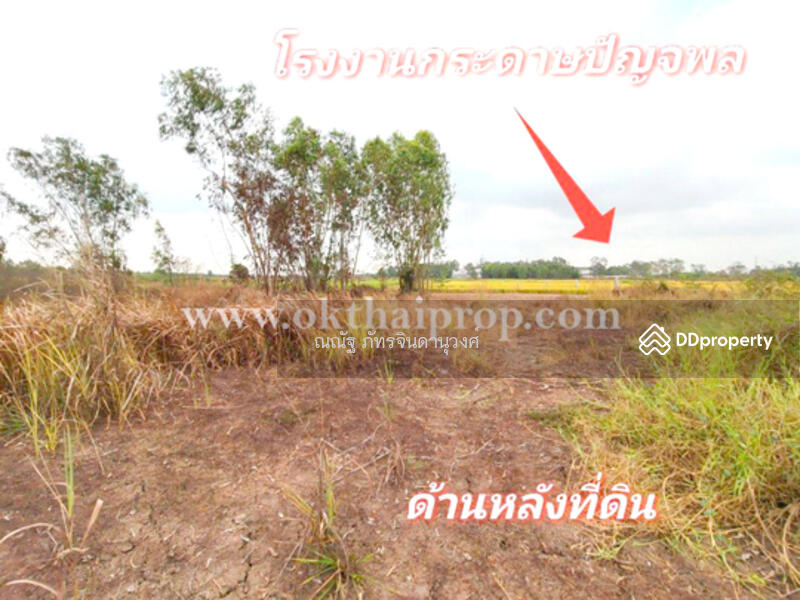 ขาย - ถนน3111 ต.ห่อหมก อ.บางไทร จ.อยุธยา, พระนครศรีอยุธยา