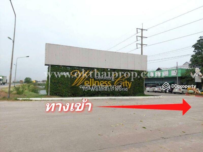 ขาย - ถนน3111 ต.ห่อหมก อ.บางไทร จ.อยุธยา, พระนครศรีอยุธยา