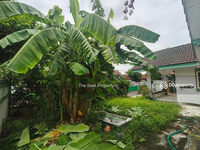 ขาย - วังทองริเวอร์ปาร์ค ลำลูกกา, ปทุมธานี