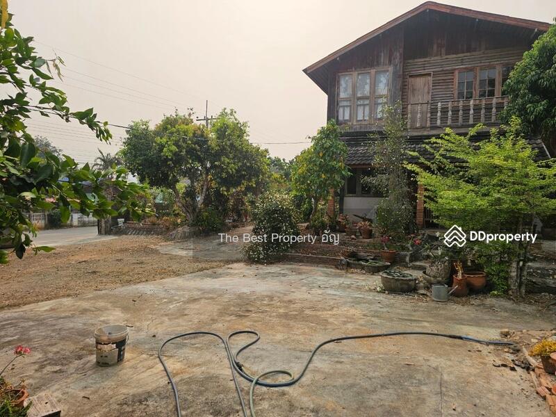 ขาย - ที่ดินท่าสุด เชียงราย, เชียงราย
