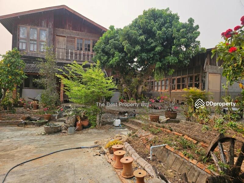 ขาย - ที่ดินท่าสุด เชียงราย, เชียงราย