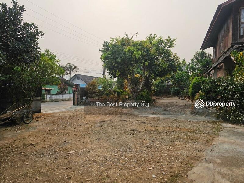 ขาย - ที่ดินท่าสุด เชียงราย, เชียงราย