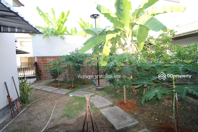 บ้านเดี่ยว ราชพฤกษ์ บ้านเดี่ยว นนทบุรี บ้านเดี่ยว พระราม 5 คาซ่าวิลล์ ราชพฤกษ์ พระราม 5 บ้านมือสอง