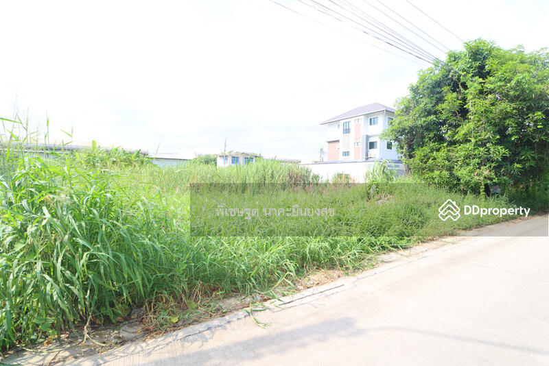 ที่ดินลาดกระบัง ที่ดินพัฒนาชนบท3 ที่ดินเลียบมอเตอรเว ที่ดินใกล้สุวรรณภูมิ ที่ดินศรีนครินทร์ ร่มเกล้า