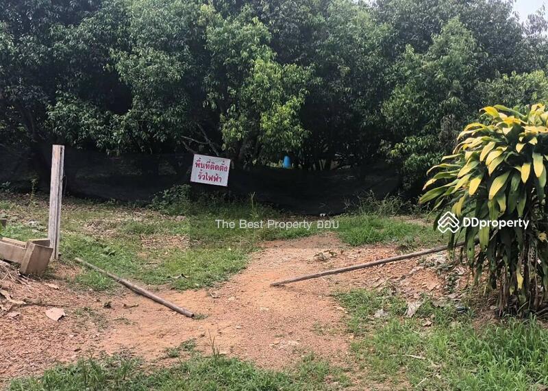 ขาย - ที่ดินพร้อมสวนผลไม้น้ำริด อุตรดิตถ์, อุตรดิตถ์