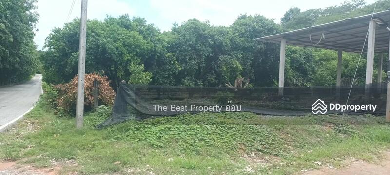 ขาย - ที่ดินพร้อมสวนผลไม้น้ำริด อุตรดิตถ์, อุตรดิตถ์