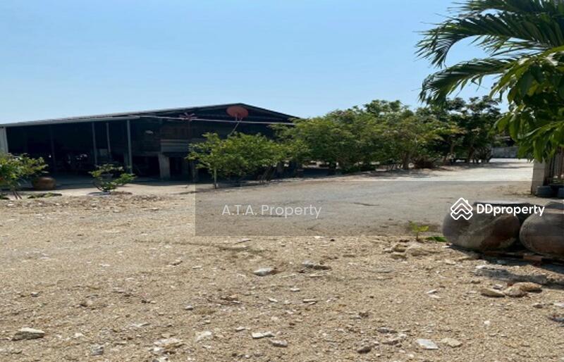 For Sale - Land, Mitsamphan 16, Ban Puk, Chonburi, Chon Buri