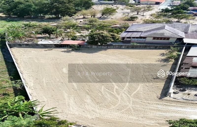For Sale - Land, Mitsamphan 16, Ban Puk, Chonburi, Chon Buri